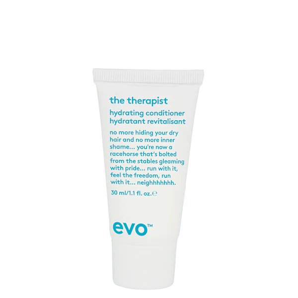 evo the therapist drėkinamasis mini kondicionierius